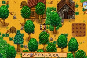 From One Farm to a Multiplayer Farm