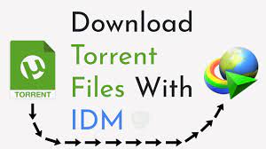 torrent downloader manager