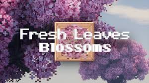 fresh blossoms minicraft skin